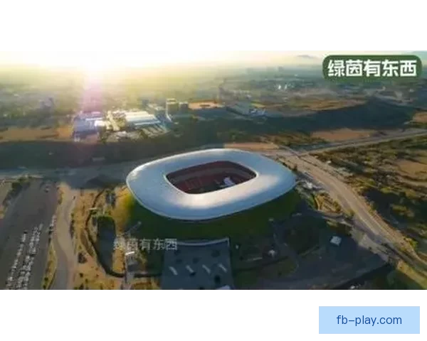 聚焦美加墨世界杯赛场城市脉动与全球足球狂欢新时代全景图景展示